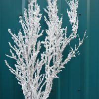 Flocked White Christmas Specialty Branches