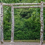 Easy Assembly Birch Wedding Arch | Oregon Coastal Flowers LLC Easy Assembly Birch Wedding Arch