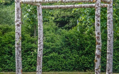 Natural Wedding Arches including Chuppahs & Pergolas 3.01.18