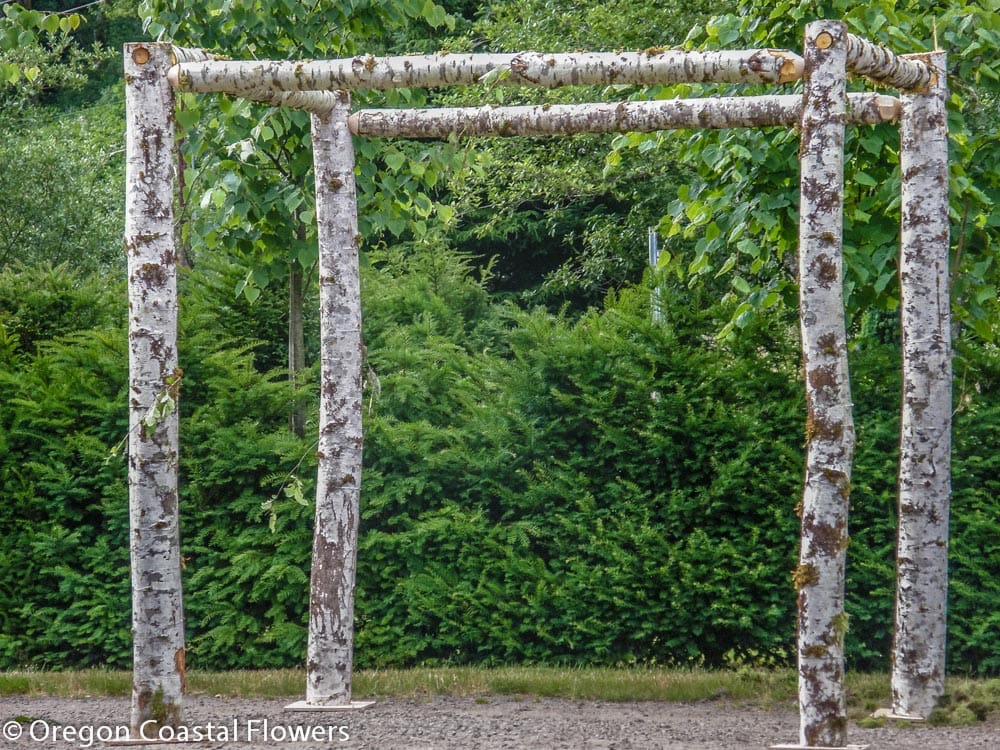 Easy assembly chuppah / alder chuppah example