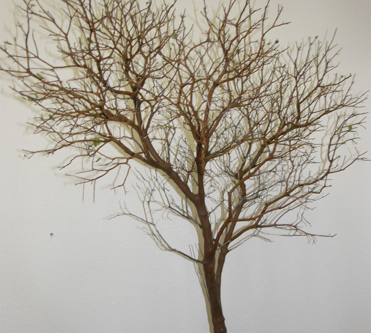 Manzanita Branches, with leaves, leafless, sandblasted