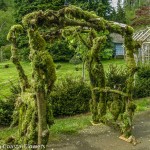 Moss Covered Outdoor Wedding Arch | Oregon Coastal Flowers LLC Moss Covered Outdoor Wedding Arch