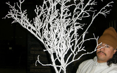 Holiday Flocked Flowering Branches