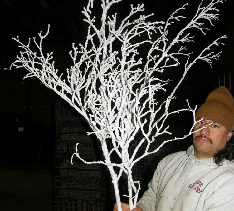 Holiday Flocked Flowering Branches