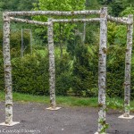 Organic Birch Chuppah