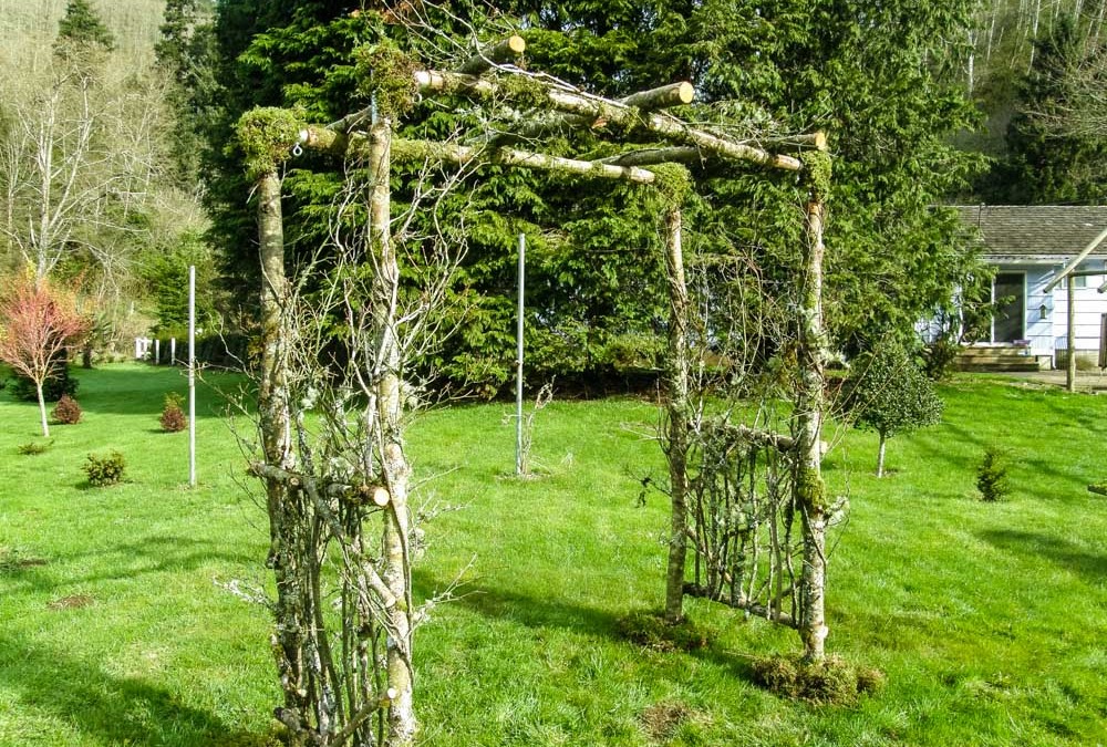 Custom Birch Wedding Arches, Pergolas, and Chuppah.