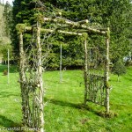 Organic Wedding Arches
