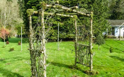 Custom Birch Wedding Arches, Pergolas, and Chuppah.