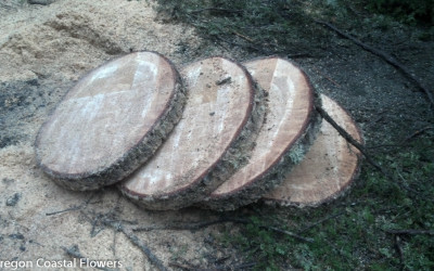Hand-cut Decorative Wood Slabs