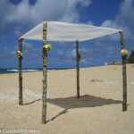 Rustic Wedding Chuppah | Oregon Coastal Flowers LLC Rustic Wedding Chuppah