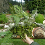 Specialty Forest Products | Oregon Coastal Flowers LLC Specialty Forest Products
