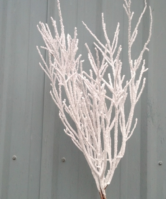 Winter Branches Flocked