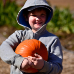 kichis river pumpkin patch and corn maze