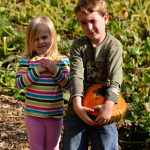 Kilchis River Pumpkin Patch and Corn Maze