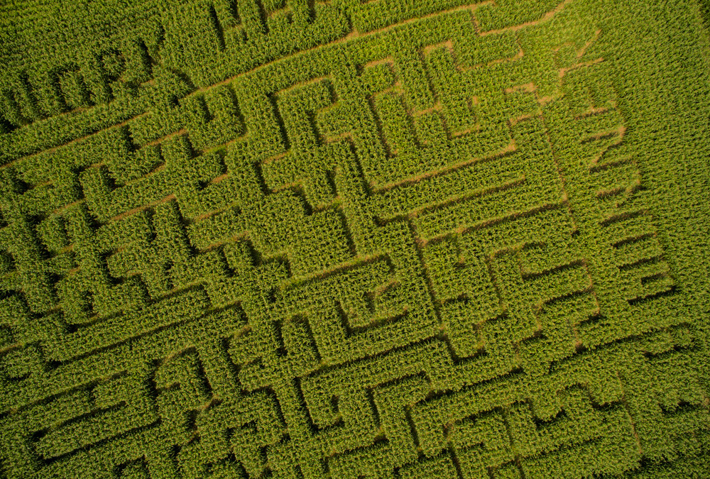 Kilchis River Pumpkin Patch & Corn Maze opening up 2nd weekend in October.