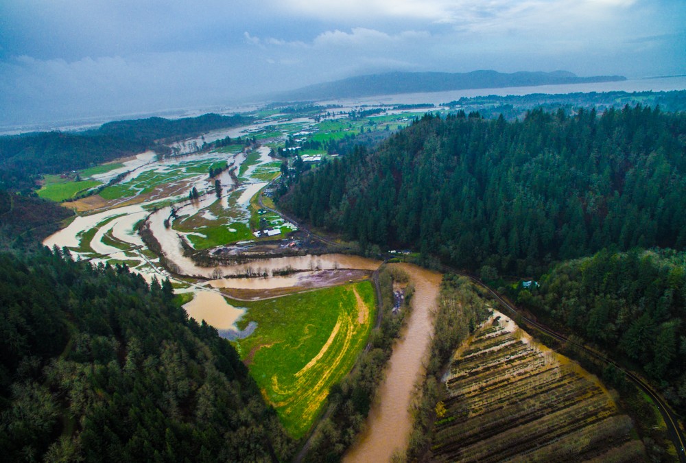 Epic Floodwaters shapes Oregon Coastal Flowers