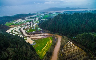 Epic Floodwaters shapes Oregon Coastal Flowers
