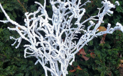 Flocked Winter Branches made with Specimen Christmas Branches
