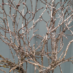 Winter Glittered Branches