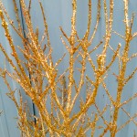 Gold Glittered Winter Branches