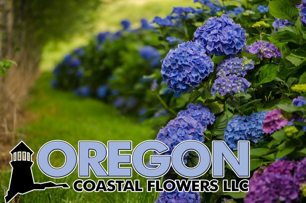 Get access to our wholesale prices.