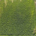 oregon coast pumpkin patch & corn maze | Oregon Coastal Flowers LLC oregon coast pumpkin patch & corn maze