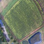 oregon coast pumpkin patch & corn maze | Oregon Coastal Flowers LLC oregon coast pumpkin patch & corn maze