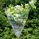 ornamental blueberry branches | Oregon Coastal Flowers LLC ornamental blueberry branches