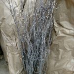 silver glittered branches