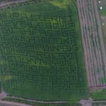 kilchis river pumpkin patch & corn maze | Oregon Coastal Flowers LLC kilchis river pumpkin patch & corn maze