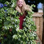 hops plant | Oregon Coastal Flowers LLC hops plant