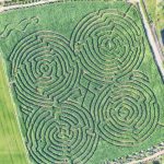 corn mazes on the oregon coast | Oregon Coastal Flowers LLC corn mazes on the oregon coast