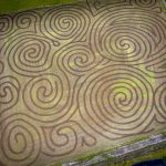 kilchis pumpkin patch corn maze | Oregon Coastal Flowers LLC kilchis pumpkin patch corn maze