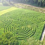 kilchis river corn maze | Oregon Coastal Flowers LLC kilchis river corn maze