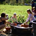 kilchis river pumpkin patch