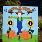 pumpkin patch