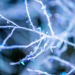 glittered branches