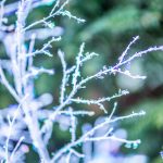 glittered branches