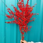 ilex berries | Oregon Coastal Flowers LLC ilex berries