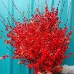 ilex loaded berries | Oregon Coastal Flowers LLC ilex loaded berries