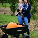 Pumpkin Patches in Tillamook Oregon | Oregon Coastal Flowers LLC Pumpkin Patches in Tillamook Oregon