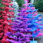 flocked christmas trees | Oregon Coastal Flowers LLC flocked christmas trees
