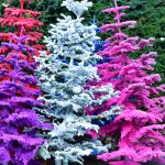 flocked colorful trees | Oregon Coastal Flowers LLC flocked colorful trees