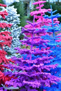 0407_1 | Oregon Coastal Flowers LLC