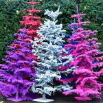 oregon coastal flowers flocked christmas trees | Oregon Coastal Flowers LLC oregon coastal flowers flocked christmas trees