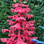 red flocked christmas trees | Oregon Coastal Flowers LLC red flocked christmas trees