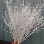 crystallized branches
