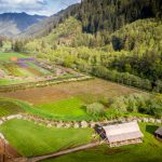 spring time flower farm | Oregon Coastal Flowers LLC spring time flower farm