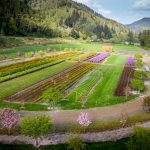 wedding venues on the oregon coast | Oregon Coastal Flowers LLC wedding venues on the oregon coast