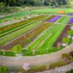 wedding venues in oregon | Oregon Coastal Flowers LLC wedding venues in oregon